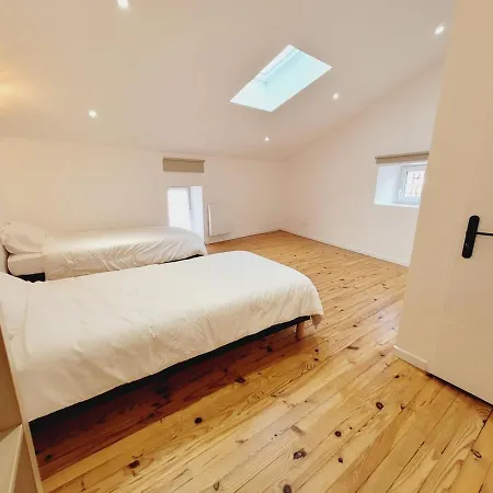 Rheintalblick Wohnen Ueber Den Daechern Von Bingen * Bingen am Rhein