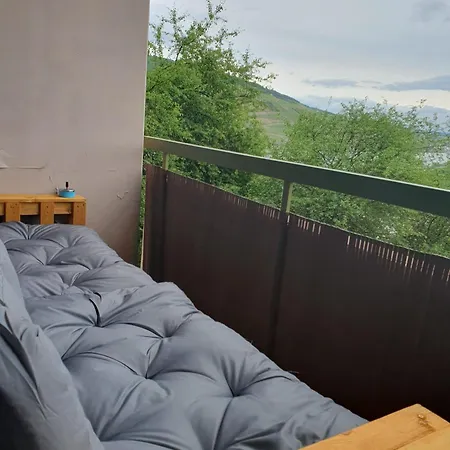 Rheintalblick Wohnen Ueber Den Daechern Von Bingen Appartement *