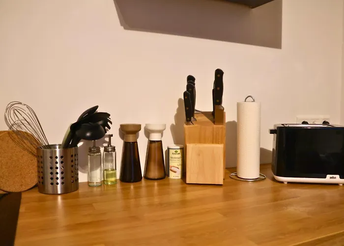 Rheintalblick Wohnen über Den Dächern Von Bingen Apartment Bingen am Rhein